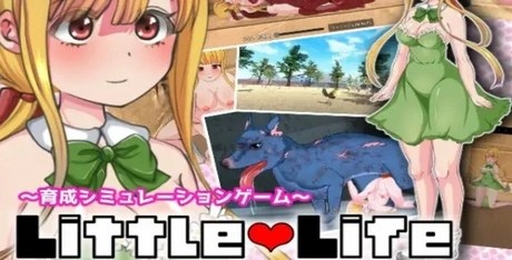 Little Life
