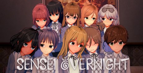 Sensei Overnight